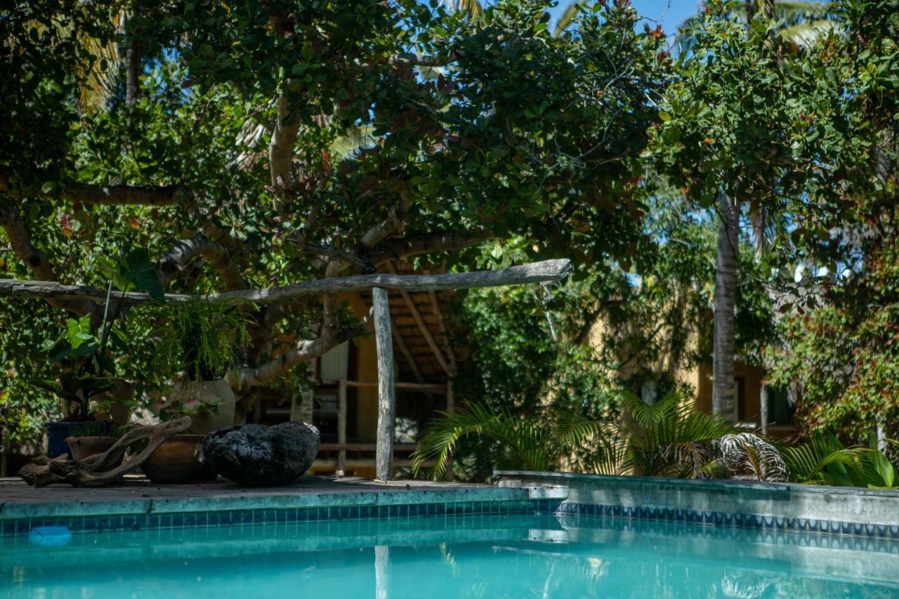 Turtle Cove Lodge And Yoga Shala Praia do Praia do Tofo Esterno foto