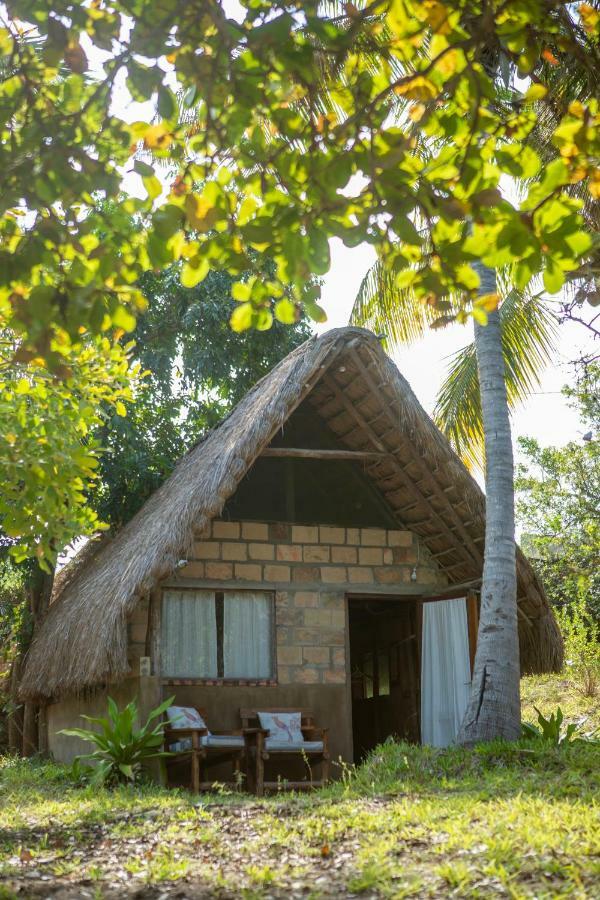 Turtle Cove Lodge And Yoga Shala Praia do Praia do Tofo Esterno foto